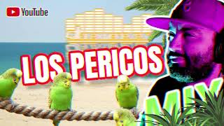 Los Pericos Mix  Lo mejor del reggae  mix playero  Musica Limpiar La Casa [upl. by Orban]