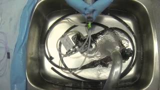 Flexible Endoscope Reprocessing  Flushing amp Rinsing [upl. by Nahtannoj]