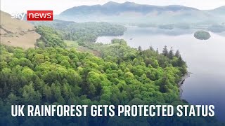 Borrowdale rainforest in Lake District gets protected status as national nature reserve [upl. by Asor]