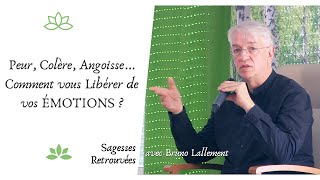 Peur Colère Angoisse  Comment vous Libérer de vos Émotions [upl. by Melmon29]