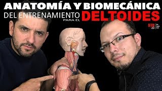 ENTRENAMIENTO DE DELTOIDES  ANALISÍS BIOMECÁNICO Y ANATÓMICO [upl. by Mala884]