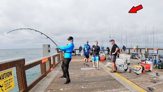 Fish of a Lifetime Caught from the Gulf Pier [upl. by Hyams]