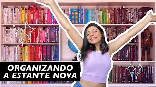 organização da estante de livros dos sonhos [upl. by Ruhtracam860]