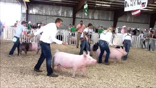 4H Swine Showmanship [upl. by Nalda]