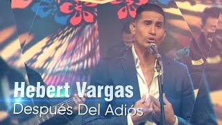 Hebert Vargas  Después del Adiós  Live [upl. by Darnall]