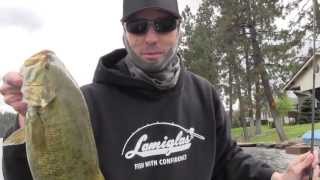 Dropshot Smallmouth Bass Lamiglas XP 702 S [upl. by Kuo997]