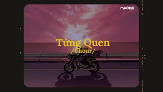 ♬ 1 hour Từng Quen Lofi Lyrics  Wren Evans  Cứ Coi Là Chúng Ta Chưa Từng Quen [upl. by Joni417]