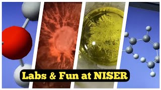 Fun at NISER  what we do at NISER  research and laboratory [upl. by Chico]