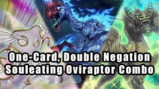 OneCard Double Negation Souleating Oviraptor YuGiOh Combo [upl. by Fessuoy]