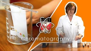 Chromatography  GCSE Science Required Practical [upl. by Eelyam]