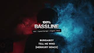 100 BASSLINE  BURGABOY  TELL ME WHO MERKURY REMIX  HQ [upl. by Lekzehcey]