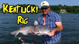 Catching Catfish using a Kentucky Rig [upl. by Leela]