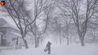 Kar Fırtınası Sesi Rüzgar Sesi Rahatlatıcı Doğa Sesleri Blizzard Howling Wind Storm Sounds [upl. by Dalury]