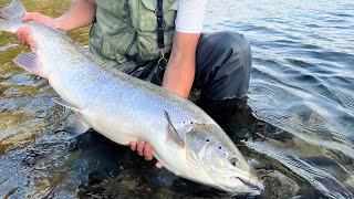 Et Lakse Eventyr i NordNorge  LAKSELVA  PART 1  A Salmon Adventure in Northern Norway [upl. by Annagroeg112]