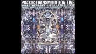 Full Album Praxis  Transmutation Live [upl. by Mourant]