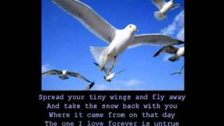 Anne Murray  Snowbird with lyrics [upl. by Kcirddor]