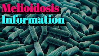 Melioidosis Information 🔬Tier3 Infectious Disease [upl. by Black]