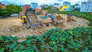 NEW UPDATE Technique Fill The Stone on Flooded Area Use D20A KOMATSU Dozer And 5Ton Dump Trucks [upl. by Ritchie75]