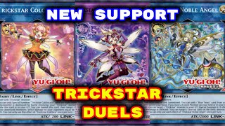 917  Yugioh  Trickstar Duels New Support 2024 Deck Download in Description [upl. by Ainirtak]