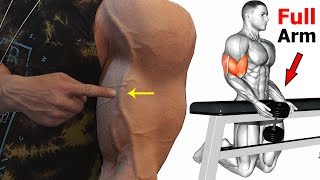 Toned Lean Arms Workout  Rhomboids Shoulders Bicep Tricep and Chest Workout [upl. by Burk]