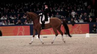 Parzival and Adelinde 2010 Stallion Show Part 1 of 2 [upl. by Aiceila]