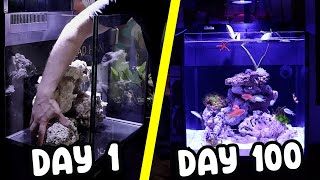 Creating a Reef Aquarium in 100 Days  Red Sea Max Nano G2 [upl. by Shel471]