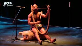 Chants et danses des pygmées Aka du Congo au musée du quai Branly ARTE Concert2 [upl. by Avrom725]