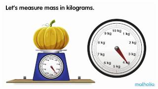 Using a Scale  Kilograms [upl. by Ruby]