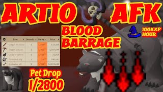 OSRS  Artio Guide  AFK Blood Barrage  Magic  Wilderness Boss [upl. by Nnaitsirhc]