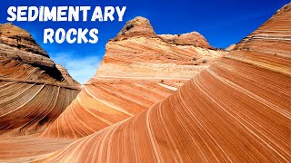 Three types of Sedimentary Rocks [upl. by Audry]