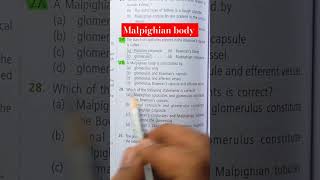 NEET ✅️✅️ malpighian body is constitued by youtubeshort neet biologybook [upl. by Kovacs]