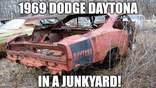 The Epic Mopar Junkyard Part 4 A DAYTONA in the field Charger RTs and Coronet RTs [upl. by Atteuqaj]