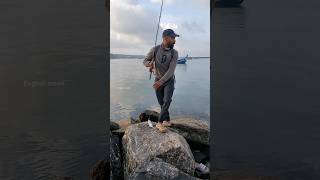 ഇത് കൊറച്ച് നീണ്ട പാരയാ fishing seafishing fisherman fishingmalayalam fish shorts [upl. by Spector]