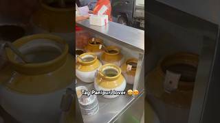 Borivali’s famous Panipuri trending food panipuri streetfoodideas panipurilovers mumbaifood [upl. by Soren]