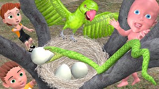 PAAGAL BABU 32 Parrot ka Eggs aur Snake  pagal beta  cs bisht vines  desi comedy video [upl. by Arodoet41]