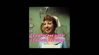 Harry Bannink amp Annie M G Schmidt  Ja Zuster Nee Zuster Medley 1968 karaoke [upl. by Notlad554]