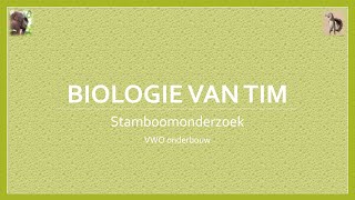 Biologie van Tim  Stamboomonderzoek onderbouw [upl. by Eerdna94]