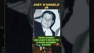 JOEY D’ANGELO JR  LIFE amp CRIMES OF A GAMBINO SOLDIER amp GRAVANO PAL sammygravano [upl. by Grimaud]