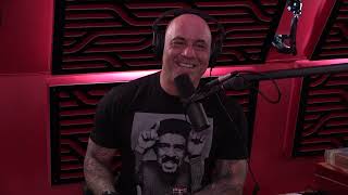 Joe Rogan Experience 1603  Brendan Schaub [upl. by Bryon]