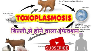 Toxoplasma gondii life cycle pathogenesis lab diagnosis amp treatment in hindi [upl. by Marinna]