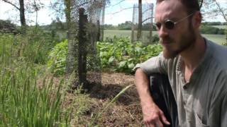 Comprendre le paillage pour la permaculture [upl. by Marchall]