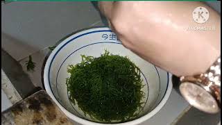 SEAWEED SALAD RECIPE MAKAKAIN NA RIN KITA YUMMY 😋😋😋😋 [upl. by Cherianne]