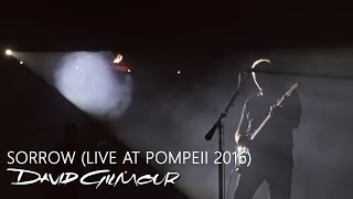 David Gilmour  Sorrow Live At Pompeii [upl. by Aisylla]