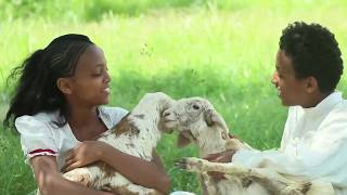 ያላኻ ያላኻ New Eritrean Music video 2017 Redwan Mahari Bambini Ft Yorkabiel Mahari Official [upl. by Sly]