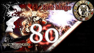 FFXIV  Black Mage Endwalker Guide  Openers Rotation Optimization and Frequently Asked Questions [upl. by Olihs478]