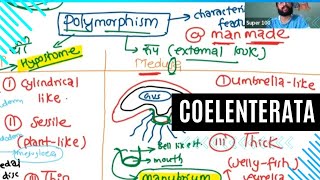 PHYLUM COELENTERATA [upl. by Ylevol]