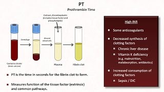 Hemostasis Lesson 4  Tests INR PTT platelets fibrinogen Ddimer [upl. by Faxan]