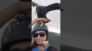 Paraglider Makes an UNEXPECTING Friend [upl. by Hairahcaz]