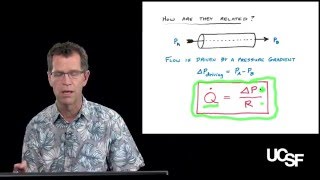 David Morgan PhD The Cardiac Cycle Part 1 Physical Principles [upl. by Nostaw]