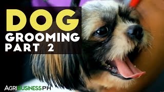 How to clean your dogs ear cut nails and brush teeth of your dog  Dog grooming Part 2 [upl. by Laverne]